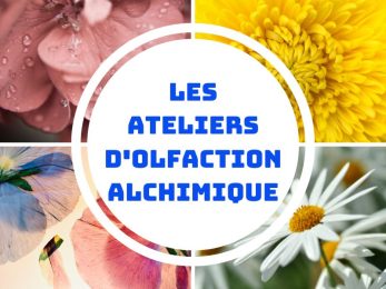 Atelier Huiles Essentielles chez Soi