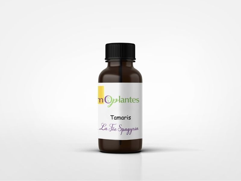 Tamaris Bourgeons Bio – Image 2