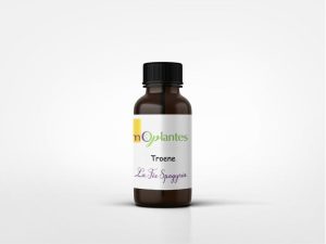 Troene bourgeons flacon SPAGYRIQUE